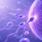 Azoospermia: Penyebab, Diagnosis, dan Program Hamil