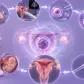 Memahami Tingkat Keberhasilan IVF Berdasarkan Usia Pasien
