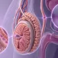 Causes of Azoospermia: From Blockages to Production Issues