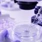 IVF & ICSI untuk Azoospermia: Bagaimana Prosesnya?