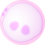 Ilustrasi gangguan ovulasi