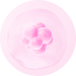 Ilustrasi kualitas sel telur