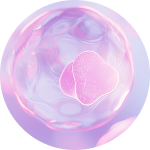 Ilustrasi gangguan hormonal wanita