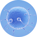 Ilustrasi sperma rendah