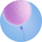 Ilustrasi motilitas sperma