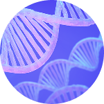 Ilustrasi gangguan hormonal pria