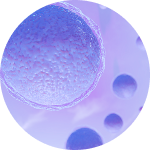 Ilustrasi gangguan struktural